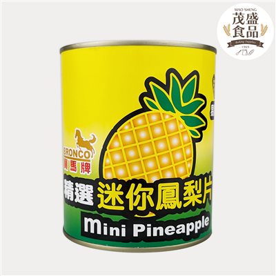 【寶馬牌】精選迷你鳳梨片 830g