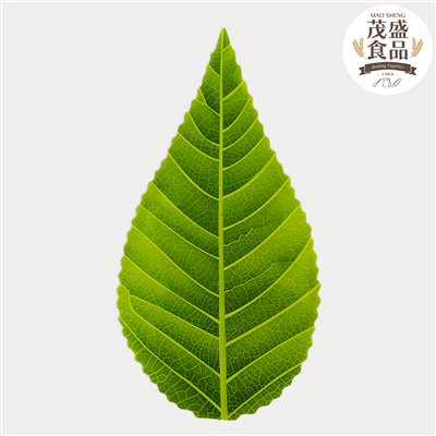 麻糬葉